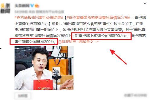 辛巴母亲爆料视频大全集,揭秘辛巴家族背后的真相  第2张 辛巴母亲爆料视频大全集,揭秘辛巴家族背后的真相  第2张