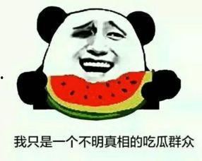 武都网红吃瓜群众是谁啊,揭秘武都网红“吃瓜群众”的真实身份  第2张 武都网红吃瓜群众是谁啊,揭秘武都网红“吃瓜群众”的真实身份  第2张