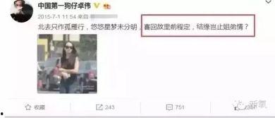 卓伟爆料过宋茜吗视频播放,卓伟爆料宋茜视频播放引发热议  第2张 卓伟爆料过宋茜吗视频播放,卓伟爆料宋茜视频播放引发热议  第2张