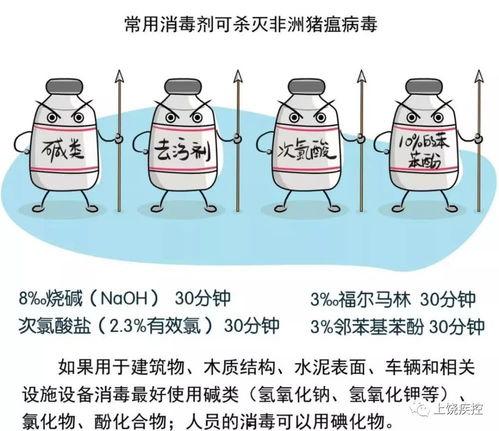 非洲猪瘟最新爆料,揭秘病毒传播与防控策略  第3张 非洲猪瘟最新爆料,揭秘病毒传播与防控策略  第3张