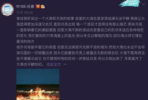 大海爆料录音视频,事件真相大起底  第3张 大海爆料录音视频,事件真相大起底  第3张