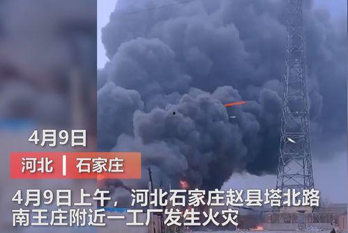 化肥厂爆料事件视频最新,揭秘行业黑幕与环保危机  第2张 化肥厂爆料事件视频最新,揭秘行业黑幕与环保危机  第2张