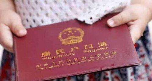 电视剧户口在线观看,揭秘现代都市户口变迁的电视剧  第2张 电视剧户口在线观看,揭秘现代都市户口变迁的电视剧  第2张