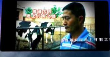 爆料大案三集视频播放,视频播放背后的惊心动魄  第3张 爆料大案三集视频播放,视频播放背后的惊心动魄  第3张